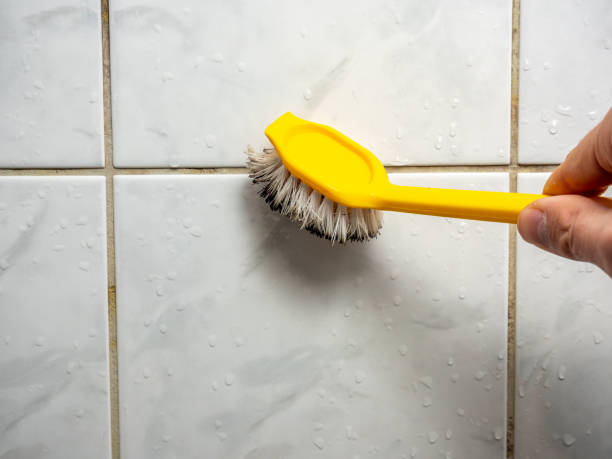 Best Emergency Mold Removal  in Elma Center, NY