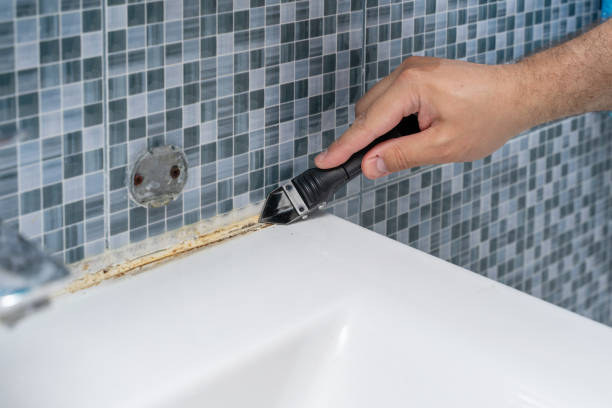 Best Mold Damage Repair  in Elma Center, NY